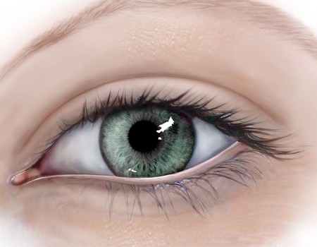 Eye illustrations for patient information